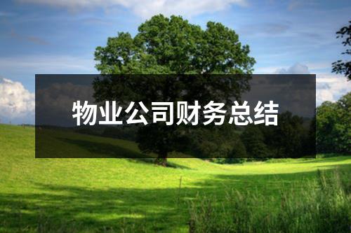 物業公司財務總結