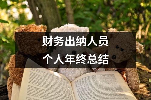 財務(wù)出納人員個人年終總結(jié)