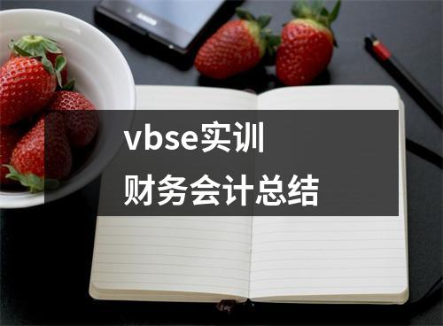 vbse實訓(xùn)財務(wù)會計總結(jié)