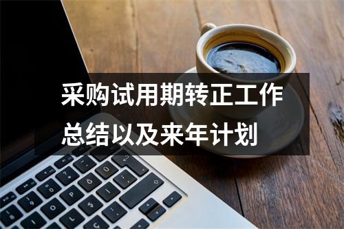 采購試用期轉正工作總結以及來年計劃