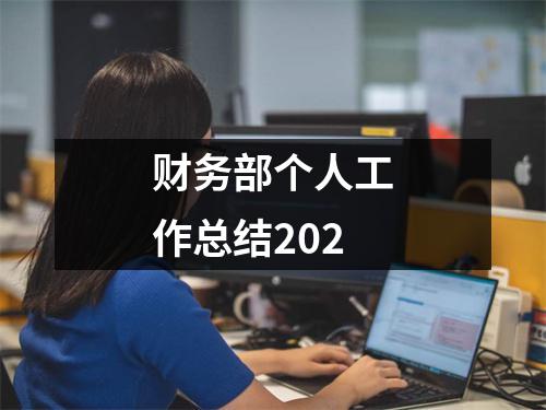 財務部個人工作總結202