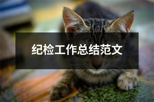 紀檢工作總結范文