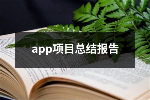 app項目總結報告