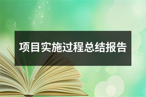 項目實施過程總結報告