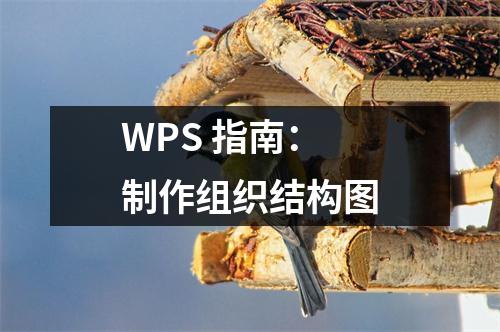 WPS 指南：制作組織結構圖