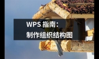 WPS(指南：制作組織結構圖)