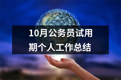 10月公務員試用期個人工作總結