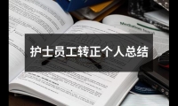 護士員工轉正個人總結