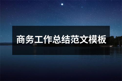 商務工作總結范文模板