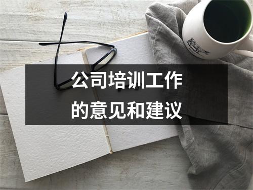 公司培訓(xùn)工作的意見和建議