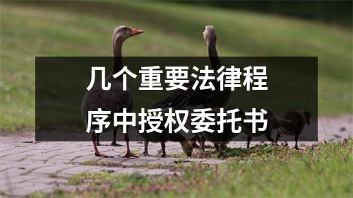 幾個(gè)重要法律程序中授權(quán)委托書