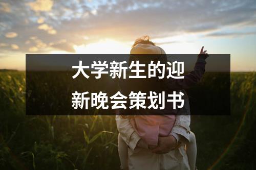 大學(xué)新生的迎新晚會(huì)策劃書(shū)