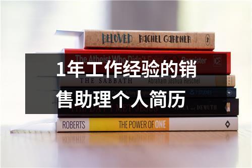 1年工作經驗的銷售助理個人簡歷