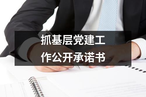 抓基層黨建工作公開承諾書