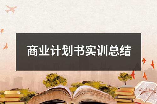 商業計劃書實訓總結