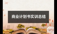 關于商業計劃書實訓總結（合集18篇）