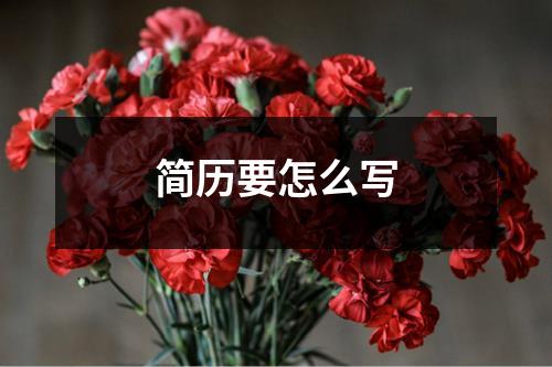 簡歷要怎么寫