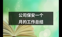 關(guān)于公司保安一個月的工作總結(jié)（共13篇）