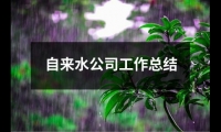 關于自來水公司工作總結（共16篇）