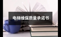 關(guān)于電梯維保質(zhì)量承諾書(shū)（共12篇）