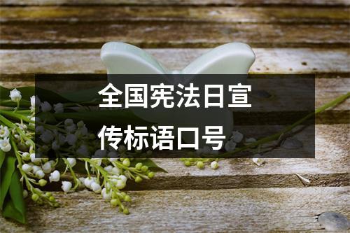 全國憲法日宣傳標(biāo)語口號