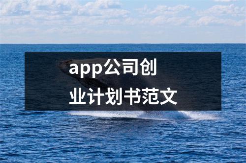 app公司創業計劃書范文