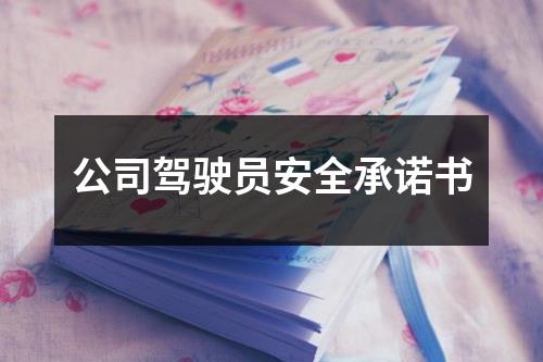 公司駕駛員安全承諾書