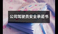 關(guān)于公司駕駛員安全承諾書(shū)（錦集15篇）