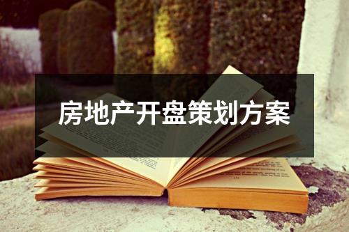 房地產開盤策劃方案