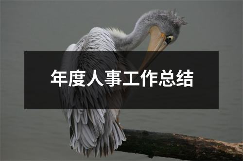 年度人事工作總結(jié)