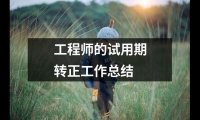 關于工程師的試用期轉正工作總結（共20篇）