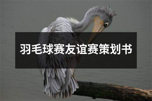 羽毛球賽友誼賽策劃書