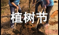 關于植樹節(jié)祝賀詞（精選40句）大全