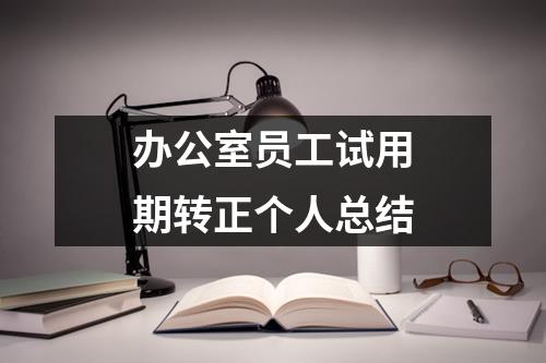 辦公室員工試用期轉正個人總結