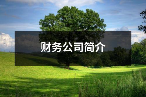 財(cái)務(wù)公司簡介