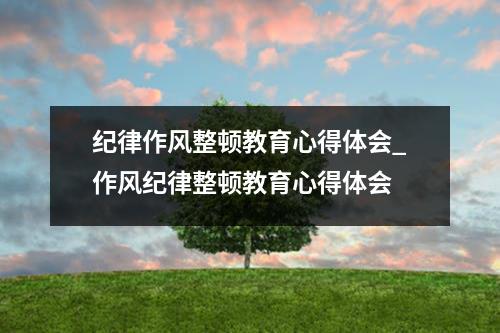 紀(jì)律作風(fēng)整頓教育心得體會(huì)_作風(fēng)紀(jì)律整頓教育心得體會(huì)