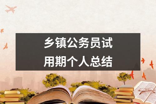 鄉鎮公務員試用期個人總結