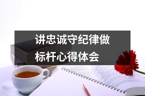 講忠誠(chéng)守紀(jì)律做標(biāo)桿心得體會(huì)