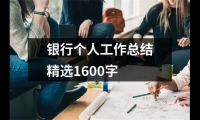 關于銀行個人工作總結精選1600字