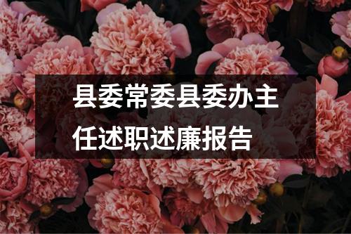 縣委常委縣委辦主任述職述廉報(bào)告