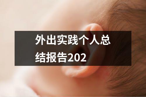 外出實踐個人總結報告202