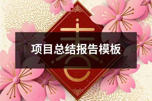 項目總結報告模板