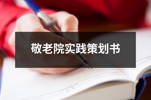 敬老院實踐策劃書