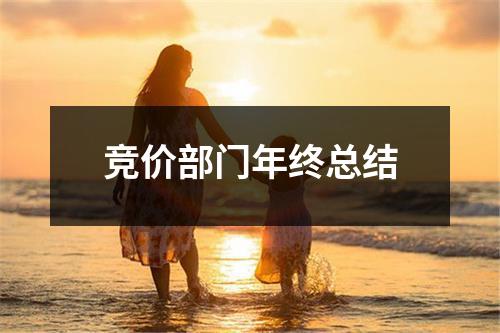 競(jìng)價(jià)部門年終總結(jié)