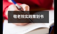 關于敬老院實踐策劃書（共18篇）