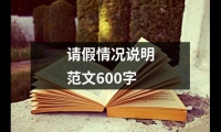 關于請假情況說明范文600字（精選12篇）