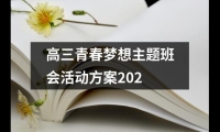 關于高三青春夢想主題班會活動方案202（精選20篇）