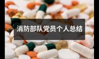 關于消防部隊黨員個人總結