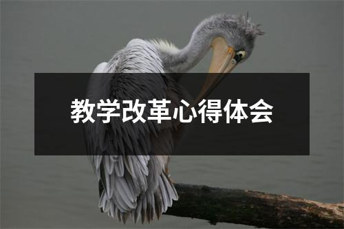 教學改革心得體會