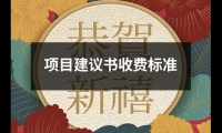 關于項目建議書收費標準（共8篇）